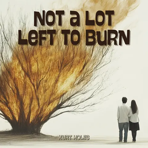 Cover art for Not a Lot Left to Burn by Kurt Holes.