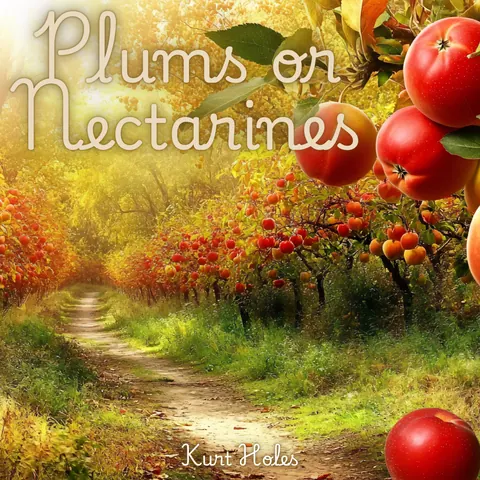Cover art for Plums or Nectarines by Kurt Holes.